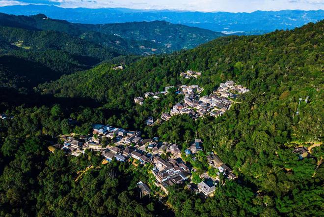 由“茶和天下 共享非遗”所想到的AG真人